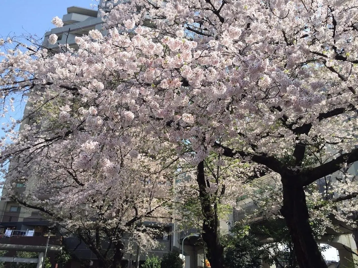 Building A101 / Vacation Stay 1274 Tokyo Apartment